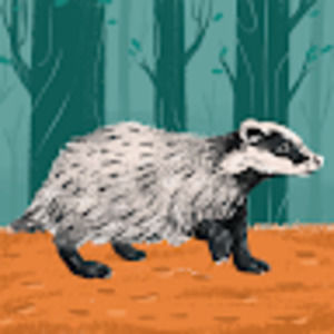 Meet your Posher, Jeanette